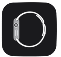 Apple Watch設定アプリ